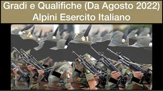 Gradi e Qualifiche Alpini Esercito Italiano - Controspallina (Da Agosto 2022)