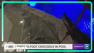10-foot crocodile found in Florida swimming pool