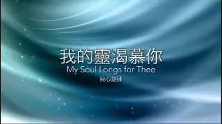 我的靈渴慕你 My Soul Longs for You - [中英歌詞版] 張瑋牧師 #78綜合詩歌