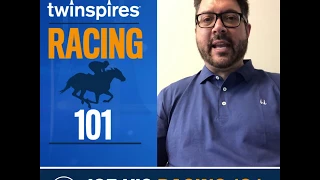 Horse Racing 101 - How to Get Started