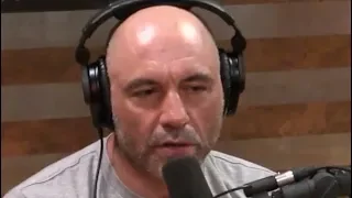 Joe Rogan - Can You Succeed Without Ego?