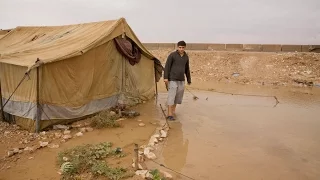How Climate Change Impacts Human Displacement