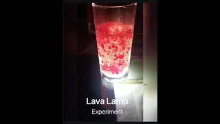 Simple Lava Lamp Experiment | Amazing | DIY | For Any Age Kids | At home