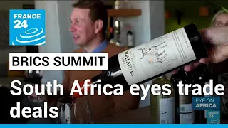 ‘Fruit, wine and beef’: South Africa eyes trade deals at BRICS summit • FRANCE 24 English