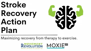 Stroke Recovery Action Plan: Exercise and Functional Therapy (OT)!