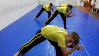 Capoeira Angola: fundamentos e treinamento