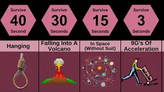 How Long Would You Survive | Comparison Tv