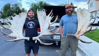 GIANT MOOSE ANTLERS with @shedcrazyofficial | Daily Vlog!