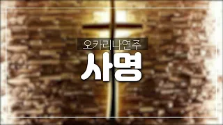 사명(트리플) 오카리나연주 김정원