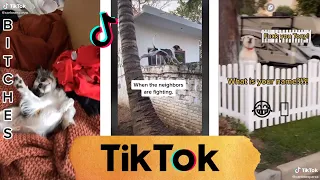 TOP 10 Funny Dogs of TikTok Compilation #6 ~ TIK TOK ~ November 2020