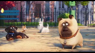 The Secret Life of Pets 2016 Trailer