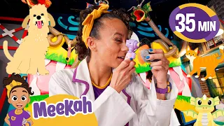 Meekah Becomes A Vet! | Meekah's Animal Adventures | Blippi and Meekah Kids TV