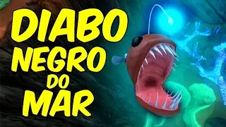 NA ESCURIDÃO COM O DIABO NEGRO DO MAR | Feed and Grow Fish