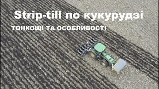 Strip-Till по кукурудзі.