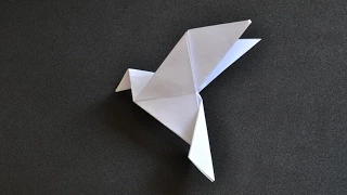 Origami Dove of Peace