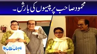 Bulbulay | Momo | Mehmood Sahab | Nabeel Khoobsurat