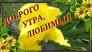 Доброго Утра, ЛЮБИМЫЙ! Красивое пожелание Доброго Утра!