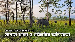 মানস জঙ্গলে সাফারির অভিজ্ঞতা | Safari Details | Manas Orchid Homestay | Offbeat Assam Tour | EP - 2