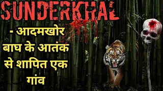 The Horrifying Tale of Sunderkhal Village And a Man Eating Tiger। एक आदमखोर बाघ का कहर। Facts Phylum