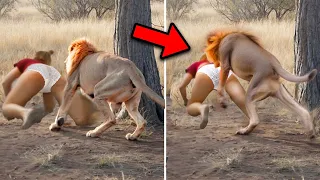 20 Times African Safari Trips Went Horribly Wrong