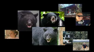 Three Unforgetable Black Bear Attacks