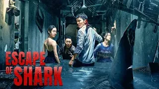 Escape of Shark(2021)Full Movie Explained In Bangla //বাংলায় //Chinese Movie Explained in Bangla.