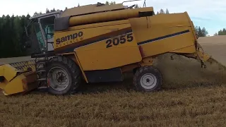 Harvesting winter wheat. Syysvenhän puintia.