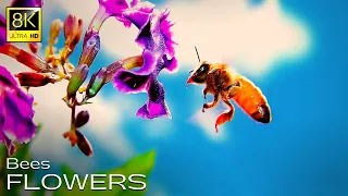 Most Wonderful Flowers Dance Video in 8K Ultra HD / 8K Video (60FPS)