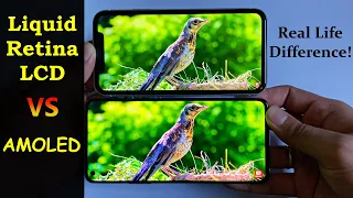 AMOLED vs IPS LCD (Liquid Retina) | iPhone's LCD Really Bad? Quick Comparison in HINDI