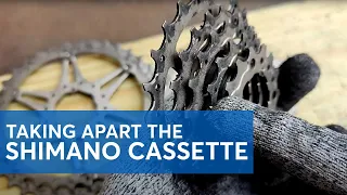 Taking Apart the Shimano Cassette!  Is it possible? (YES.)