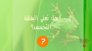 4- قانون الضفدع