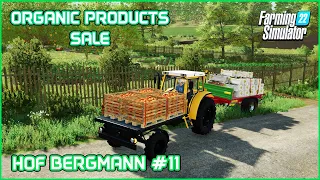 Tractor Swap, Feeding Cows, Selling Apples and Cucumbers - Hof Bergmann #11 Farming Simulator 22