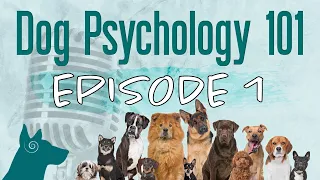 Podcast Ep. 1 | Dog Psychology vs. Human Psychology (Natural Dog Behavior)