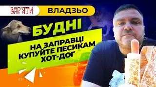 Владзьо підгодовує на заправці місцевих песиків