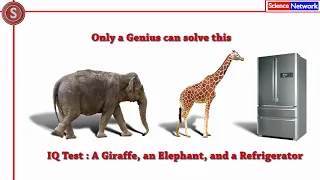 IQ test : A Giraffe, an Elephant, and a Refrigerator