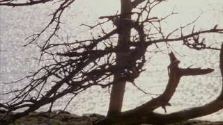Andrei Tarkovsky - Ivan's Childhood first shot / The Sacrifice last shot