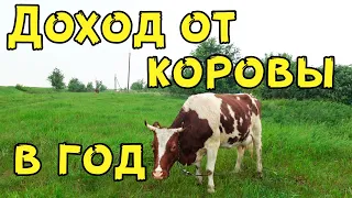 КАКОЙ ДОХОД ОТ ОДНОЙ КОРОВЫ ЗА ГОД? Коровы это выгодно!