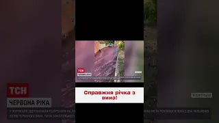 😱⚡ 2 МІЛЬЙОНИ ЛІТРІВ вина! Річка з алкоголю просто посеред Португалії