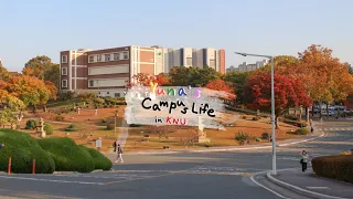 KNU campus life for exchange student | Kyungpook National University