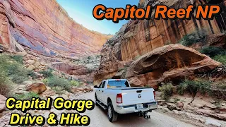 Capitol Gorge Drive & Hike: Capitol Reef National Park