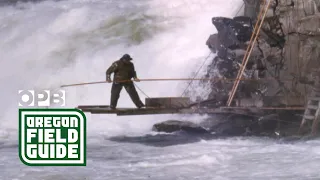 Is Celilo Falls still intact? | Oregon Field Guide