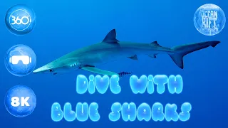 🦈 Dive with Blue sharks in 360° 🌊 Ocean Rift VR [8K]