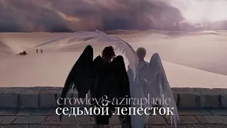 [edit] crowley&aziraphale — седьмой лепесток;