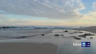 Huge surf exposes rare petroglyphs on Oahu’s North Shore