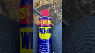 2січня 2023рік ловим карася на WD 40