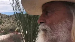 Walk of the Ocotillo’s￼