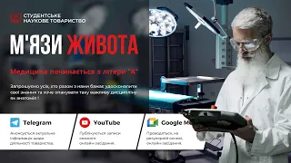 М'язи і фасції живота. Піхва прямого м'язу живота. Пахвинний канал | Анатомія