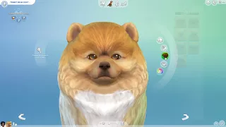 Sims 4 Кошки и собаки! Редактор создания питомца