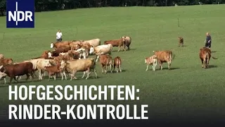 Hofgeschichten: Rinder-Kontrolle auf dem Sophienhof | Die Nordreportage | NDR Doku