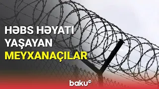 Həbs həyatı yaşayan meyxanaçılar - BAKU TV